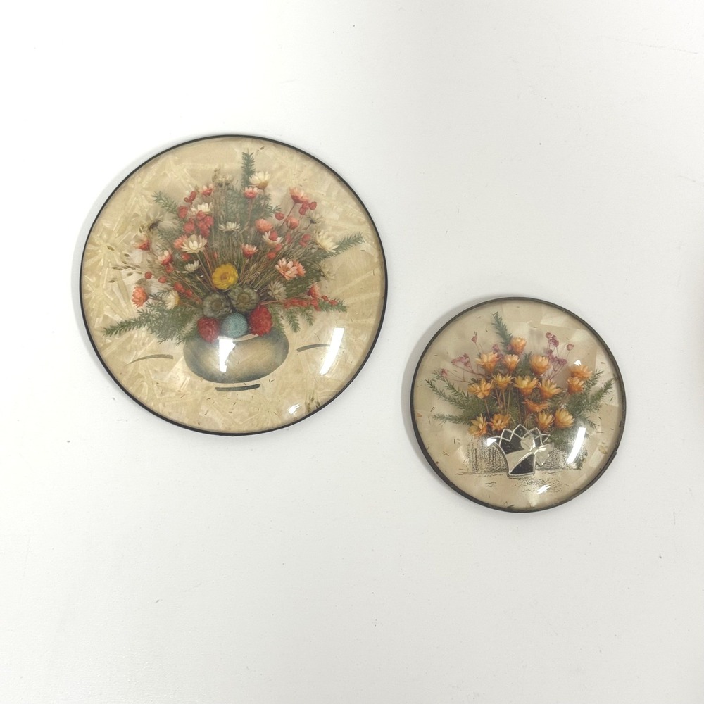 Vintage MCM Peter Watson Studio Dried Flower Wall Art Set of 2 Dome frames